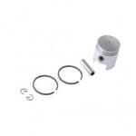 Micul Fermier Piston ATOMIZOR 40F Pulverizator