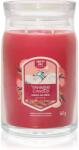 Yankee Candle Santa On Skis ароматна свещ 567 гр