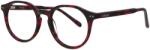 Loretto RDOV5476 C2 51 Ochelari de citit