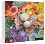 bboldin 1000 db-os puzzle - Colorful Mushroom (Z-095) (Z-095)