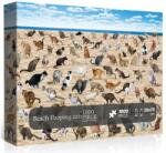 bboldin 1000 db-os puzzle - Beach Pooping Cats (Z-309) (Z-309)
