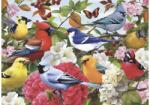 bboldin Z-126 - Bird garden - 1000 db-os puzzle (Z-126)