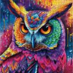 bboldin Z-475 - Colorful Owl - 1000 db-os puzzle (Z-475)