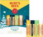 Burt's Bees Beeswax Bounty ajakbalzsam mix - 17 g