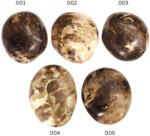 Palm Stone Opal Brandy Natural - 50-64 x 38-48 x 19-24 mm - Piatra Bucuriei Calde si a Expresiei Autentice - ( XXL ) - 1 Buc