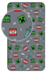 Jerry Fabrics Minecraft We Got This gumis lepedő 90x200 cm (JFK040508)