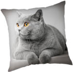 Jerry Fabrics Cicás Grey párnahuzat 45x45 cm (JFK024058) - kidsfashion