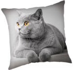  Cicás Grey párnahuzat 45x45 cm (JFK024058)