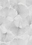 MARBURG Tapet floral abstract Elysium 10470-31