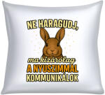 Ne haragudj, ma kizárólag a nyuszimmal kommunikálok párna (ma_kizarolag_a_nyuszimmal_kommunikalok_parna)