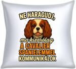  Ne haragudj, ma kizárólag a cavalier spánielemmel kommunikálok párna (ma_kizarolag_a_spanielemmel_kommunikalok_parna)