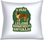  A világ legjobb bernáthegyi anyukája párna (a_vilag_legjobb_bernathegyi_anyukaja_parna)