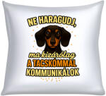  Ne haragudj, ma kizárólag a tacskómmal kommunikálok párna (ma_kizarolag_a_tacskommal_kommunikalok_parna)