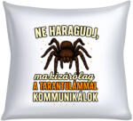  Ne haragudj, ma kizárólag a tarantulámmal kommunikálok párna (ma_kizarolag_a_tarantulammal_kommunikalok_parna)