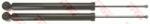 TRW amortizor TRW TWIN JGT1216T (JGT1216T)