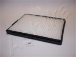 ASHIKA Filtru, aer habitaclu ASHIKA 21-NS-NS0 (21-NS-NS0)