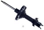 Denckermann amortizor DENCKERMANN DSB420G (DSB420G)