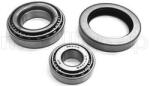 METELLI Set rulment roata METELLI 19-2163 (19-2163)