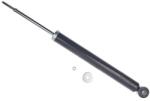 Denckermann amortizor DENCKERMANN DSF204G (DSF204G)