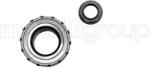 METELLI Set rulment roata METELLI 19-2947 (19-2947)
