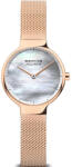 Bering 15527-364 Ceas
