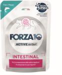 FORZA10 Active Line Cat 12x80g Forza 10 Intestinal Active Vet Diet hal, nedves macskatáp