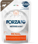 FORZA10 Active Line Cat 12x80g Forza 10 Renal Active Vet Diet bárány, ndeves macskatáp