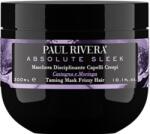 Paul Rivera Absolute Sleek Заглаждаща маска за непокорна коса, 300 ml