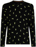 Icebreaker Merino 200 Oasis LS Crewe Snow Day AOP Black/Perid/Aop Férfipóló L