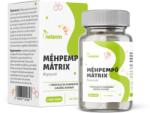 Netamin Méhpempő Mátrix kapszula + propolisz és fermentált ginzeng (60 kap. )