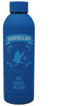  Harry Potter Ravenclaw rozsdamentes acél kulacs csavaros kupakkal 700 ml (JAVEWA220HP)