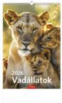 KALENDART 2026 T094 Vadállatok falinaptár (26T9400-08A) - officedepot