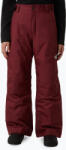 The North Face Pantaloni de schi pentru copii The North Face Freedom Insulated sumac