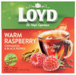 LOYD Tea Málna-Fahéj 20x2g