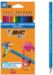 BIC Színesceruza 12 - vegyesbolt