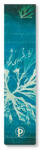 Paperblanks könyvjelző PA1388-5 Sea Flowers, Anna Atkins’ Cyanotypes