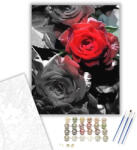  Szürke-piros rózsa - számfestő készlet - 40×50 cm (Keretre feszítve)