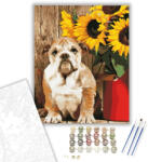  Bulldog - számfestő készlet - 80×100 cm (Keretre feszítve)