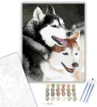  Huskyk - számfestő készlet - 40×50 cm (Keretre feszítve)