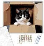  Kíváncsi Tuxedo Macska Dobozban - számfestő készlet - 40×50 cm (Keretre feszítve)