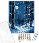 Számfestő Holdfényes Havas Erdő - számfestő készlet - 40×50 cm (Keretre feszítve) (crea6128-40X50-KF)