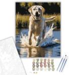 Számfestő Labrador Retriever a Tóban - számfestő készlet - 60×70 cm (Keretre feszítve) (crea5858-60X70-KF)