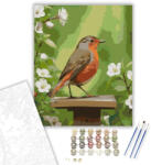 Számfestő Vörösbegy a Madárodúnál - számfestő készlet - 40×50 cm (Keretre feszítve) (crea5975-40X50-KF)