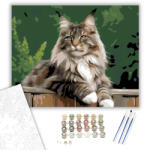  Büszke Maine Coon a Kerítésen - számfestő készlet - 40×50 cm (Keretre feszítve)