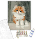  Gyönyörű Kiscica - számfestő készlet - 40×50 cm (Keretre feszítve)
