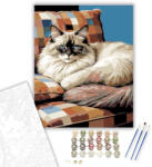  Alvó Ragdoll Macska - számfestő készlet - 50×60 cm (Keretre feszítve)