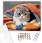  Alvó Skót Lógófülű Macska Színes Takarón - számfestő készlet - 40×50 cm (Keretre feszítve)