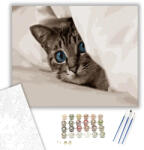 Számfestő Kiscica a takaró alatt - számfestő készlet - 40×50 cm (Keretre feszítve) (crea376-40X50-KF)
