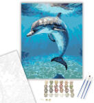  Békés Delfin a Mélykék Óceánban - számfestő készlet - 40×50 cm (Keretre feszítve)