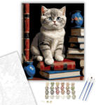  Gondolkodó Brit Rövidszőrű Kiscica - számfestő készlet - 40×50 cm (Keretre feszítve)